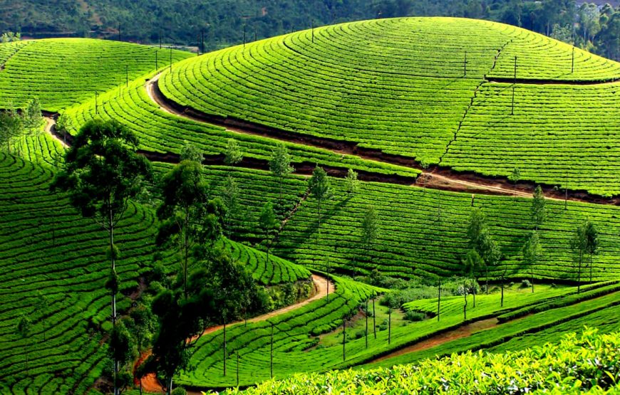 God’s Own Country Package